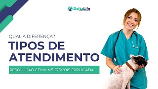 Tipos de Atendimento Veterinário Ambulatório Consultórios Clínica e Hospital Explicados [upl. by Daisey]