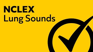 Lung Sounds  NCLEX Review [upl. by Laenej570]