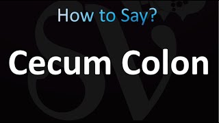 How to Pronounce Cecum Colon correctly [upl. by Garald861]