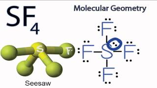 SF4 Molecular Geometry  Shape [upl. by Sonafets]