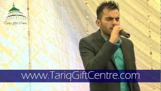 Milad Raza Qadri  Mawlid 2013 Peterborough  Clips [upl. by Llenwad519]