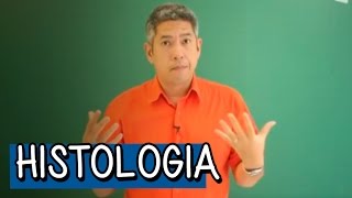 Tecido Epitelial e Tecido Endócrino  Resumo para o ENEM Biologia  Descomplica [upl. by Hennessey]