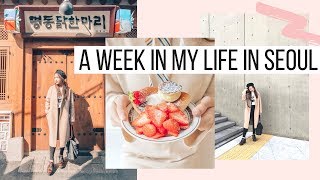 Week in My Life in Seoul 🇰🇷 PC Bang Pretty Cafes  Fashion Week  SNU Study Abroad  Korea Vlog [upl. by Elgar]