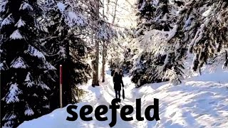 Seefeld in winter  white wonderland⛄️ Hiking in Seefeld  Tyrol  Austria [upl. by Jena875]