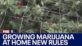 New NY rules for growing marijuana at home [upl. by Aivirt]