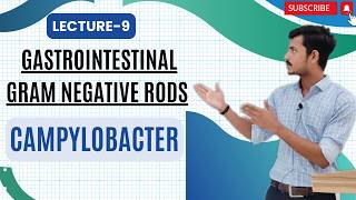 Gastrointestinal Gram  Negative Rods Part 9  Campylobacter 1 [upl. by Terza]