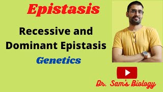 Epistasis dominant and recessive Epistasis [upl. by Lladnarc]