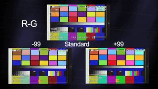 XDCAM EX Color Matrix Setup and How To instructional video [upl. by Kiki615]