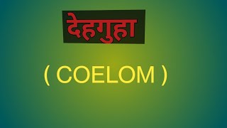 Coelom  देहगुहा Bodycavity [upl. by Aihsilat]