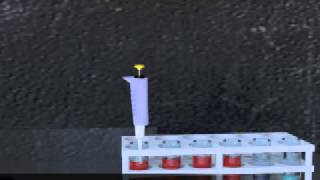 Gel Electrophoresis Animation [upl. by Nylrebmik]