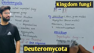 Deuteromycota fungi Life Cycle  Characteristics  Class 11 Biology [upl. by Coppinger]