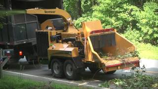 AX19 Vermeer Brush Chipper  Vermeer Tree Care Equipment [upl. by Rehptsirhc202]