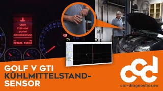 Golf V GTI Kühlmittelstandsensor  was Bier mit Kühlmittel gemeinsam hat [upl. by Asare246]