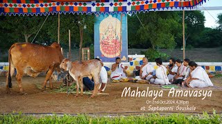 Mahalaya Amavasya 2102024 [upl. by Lilian]