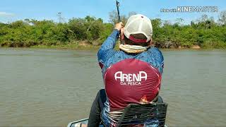 MAIOR PEIXE DE ÃGUA DOCE PIRAÃBA UM GIGANTE DE 226M PESCARIA NO RIO ARAGUAIA [upl. by Northrop870]