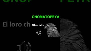 ONOMATOPEYA  El loro chilla [upl. by Aicital197]