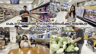 🇰🇷🇮🇳Grocery shopping in korea indiankoreancouplevlog IndianKoreanCouple [upl. by Hamid]