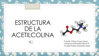 Acetilcolina Química organica [upl. by Nilkcaj654]