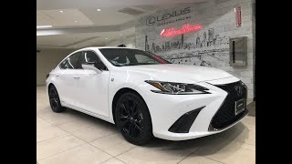 2022 Lexus ES 300h IL Chicago Glenview Palatine DesPlaines Evanston [upl. by Zitvaa90]