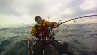 Porbeagle Shark 2018 Ireland kayak angling [upl. by Rye]