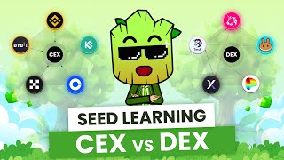 CEX vs DEX How to Choose the Best Exchange for your Crypto  SEED Learning 8 [upl. by Braden]