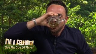 Ant Downs a Cider Live on Air  Im A CelebrityExtra Camp [upl. by Gaither]