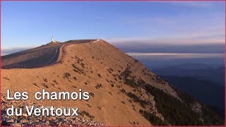 Lascension du Ventoux [upl. by Raybin]