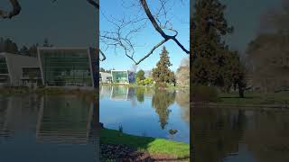 Waikato university tour tour university hamilton newzealand [upl. by Ahseyd]