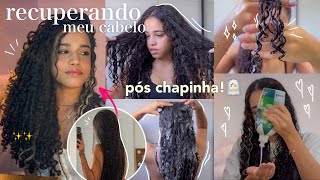 recuperando meu cabelo pós chapinha ✨💆🏻‍♀️ [upl. by Hinman]