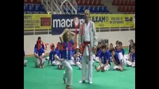 12 SEMINARIO INTERREGIONALE DI KARATE FIJLKAM CESENATICO 2013 [upl. by Llenhoj858]