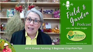 Field amp Garden 314 Flower Farming 5 Beginner Crop Plan Tips [upl. by Osbourn]