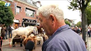 Paardenmarkt Elst [upl. by Millhon]