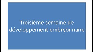 📍 Troisième semaine du développement embryonnaire E9raberk​ Embryologie [upl. by Acemahs]