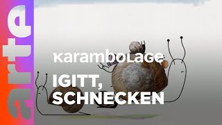 Schnecken  Karambolage  ARTE [upl. by Carmen730]