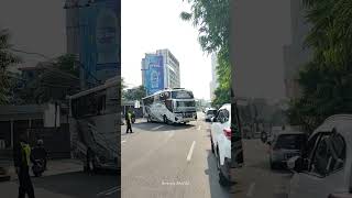 Pegasus 🔥 busmania telolet basuri trending buspariwisata masukberanda teloletbasuri fyp [upl. by Drarig]