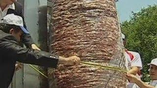 Worlds biggest doner kebab cooked in Turkey [upl. by Ayekehs]