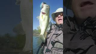 THE RATTLETRAP IS FIRE trending bassfishing youtubeshorts [upl. by Tildie]