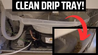 How to Clean Fridge Freezer Drip Tray When You Cant Remove [upl. by Brear]