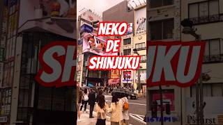 😸GATO DE SHINJUKU🎌 shinjuku shinjukutokyo turismoenjapon japan shorts [upl. by Herodias]