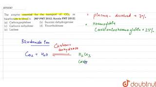 the enzyme essential for the transport for the transport of CO2 as dicarbonate in blood is [upl. by Ailsa]