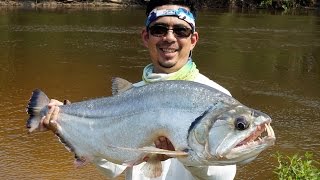 Sight Fishing Vampire Fish Payara in the Amazon [upl. by Remat]