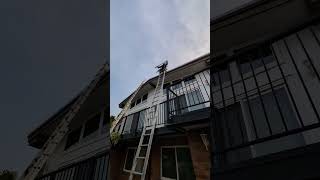 Hoisting solar panels to the roof of a house with a ladder and a sled rooftopsolar [upl. by Farly]