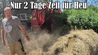 Nur 2 Tage Zeit für´s Heu machen 😳⛈️ [upl. by Darees273]