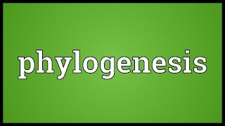 Phylogenesis Meaning [upl. by Sullivan]