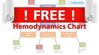 Basic Hemodynamics for Nurses  CO CI SV Preload Afterload Contractility [upl. by Kape]