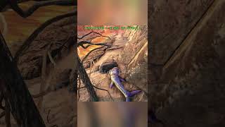 day 2 to find a legendary egg 190 ark arksurvivalevolved [upl. by Tobi912]