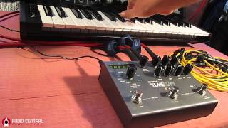 STRYMON TimeLine on KORG MS 20 [upl. by Anisirhc]