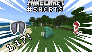 How to Make an Elytra Launcher in Minecraft 117 shorts [upl. by Yelrak104]