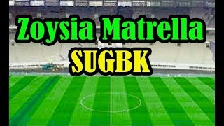 RUMPUT ZOYSIA MATRELLA  SUGBK [upl. by Evanthe]