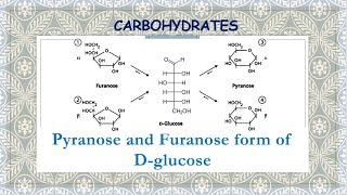 Pyranose and Furanose form of Dglucose  Orientation and formation of cyclic structures [upl. by Romanas73]